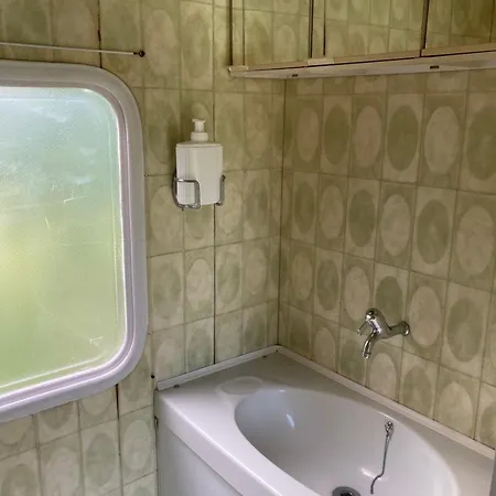 Shanti, Sole Tra I Ciliegi