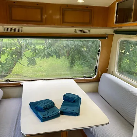 Shanti, Sole Tra I Ciliegi Crespellano