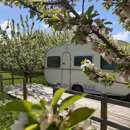 Luxury tent Shanti, Sole Tra I Ciliegi *