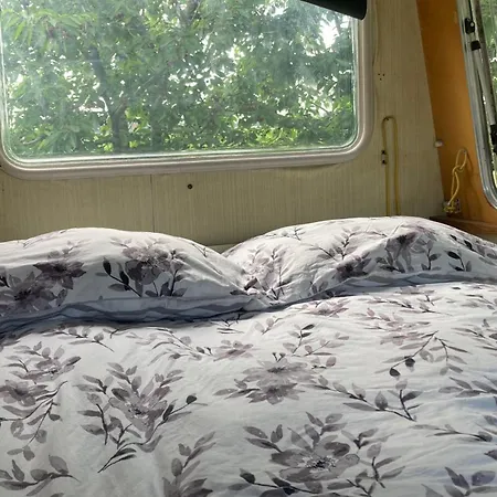 Luxury tent Shanti, Sole Tra I Ciliegi *